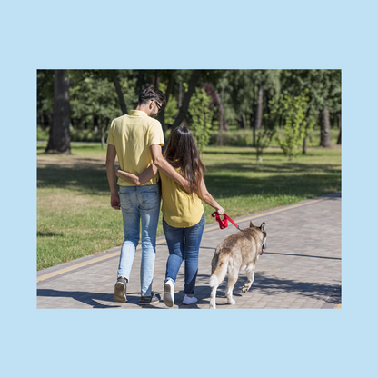 100 Pz Biopaletta Busta per Deiezioni Canine Ideale per Passeggiate con il vostro cane 20x14 cm
